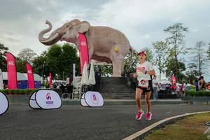 BIB: 
                            <button type="button" onclick="openModal(26528508)" class="btn btn-primary btn-sm float-right btn-popup" data-toggle="modal" data-target=".modal-high-quality">
                        <i class="fas fa-shopping-cart"></i> Add to Cart
                    </button>
                                            <button type="button" onclick="isThisMe(26528508, true)" class="btn btn-success btn-sm float-right btn-popup btn-isme hidden" data-toggle="tooltip" data-placement="bottom" title="นี่คือรูปของคุณใช่ไหม คลิกที่นี่เพื่อเอาเข้าอัลบั้ม">
                        <i class="fas fa-plus"></i> Add to album
                    </button>
                    <button type="button" onclick="isThisMe(26528508, false)" class="btn btn-warning btn-sm float-right btn-popup btn-isnotme hidden">
                        <i class="fas fa-ban"></i> Remove from album
                    </button>